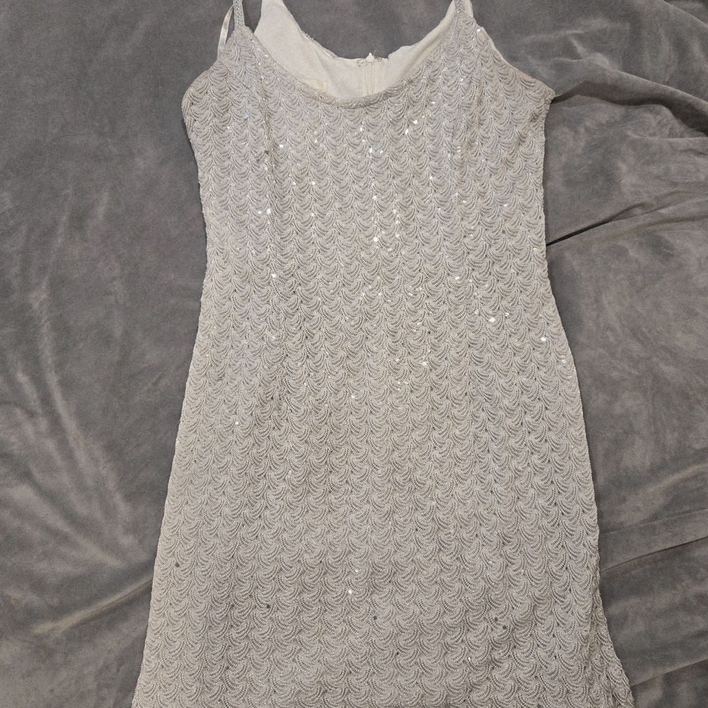 Scott McClintock Silver Mini Dress